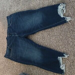American Eagle Outfitters Blue Ankle Cropped Jeans
